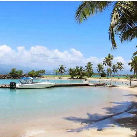 Studio Confort Pres Des Plages Le Gosier  Bagian luar foto